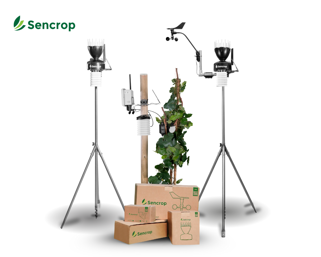 ¿Dónde colocar tu estación meteorológica conectada?