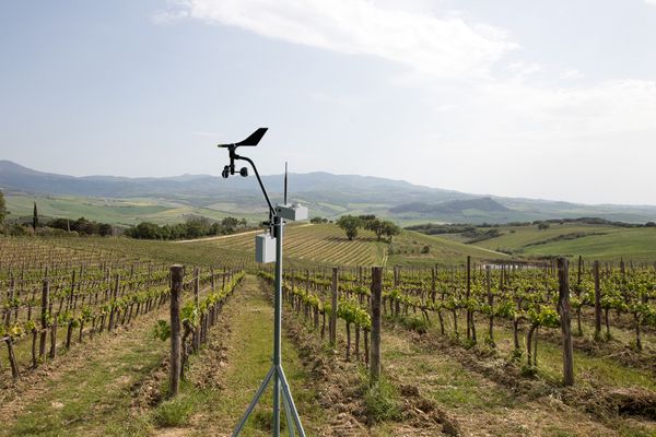 Sencrop lanza SOLARCROP, el primer sensor de radiación solar para la optimización del riego al alcance de todos