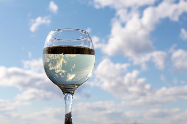 El impacto del clima en la calidad del vino 2022